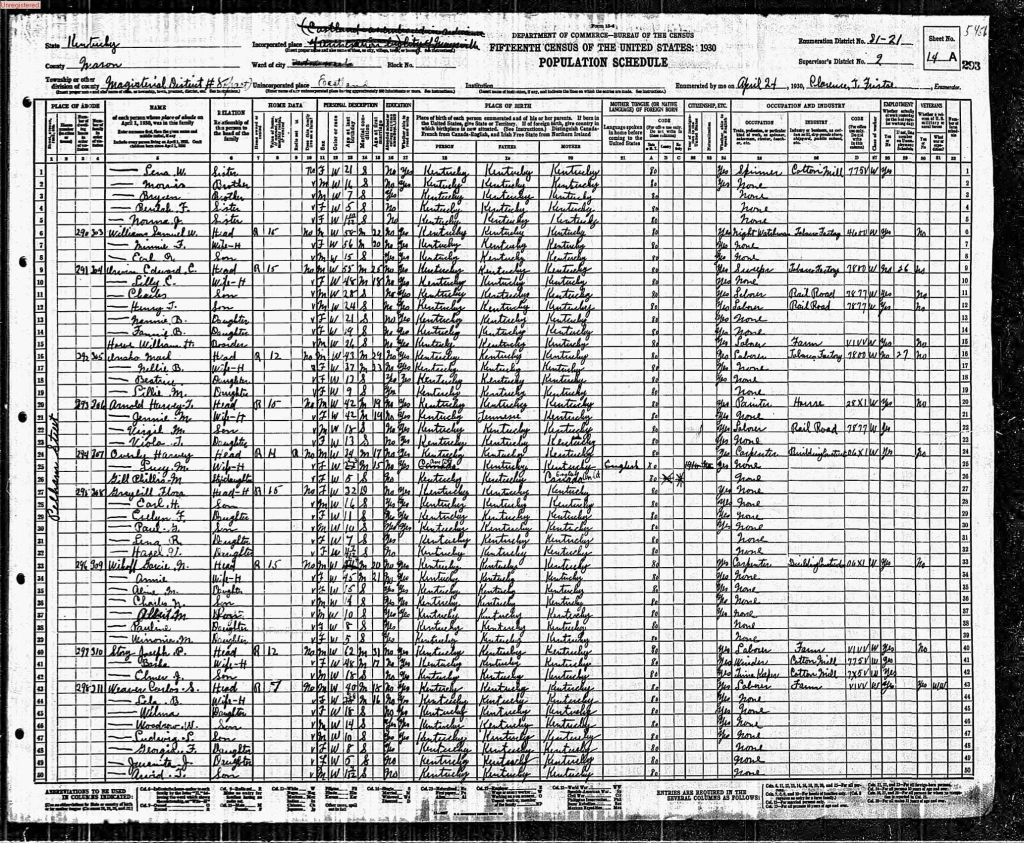 census image