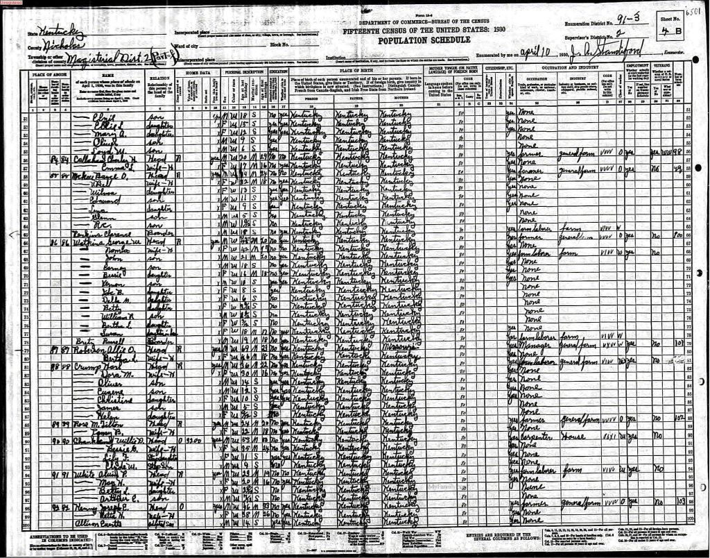 census image