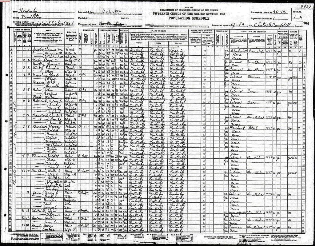 census image