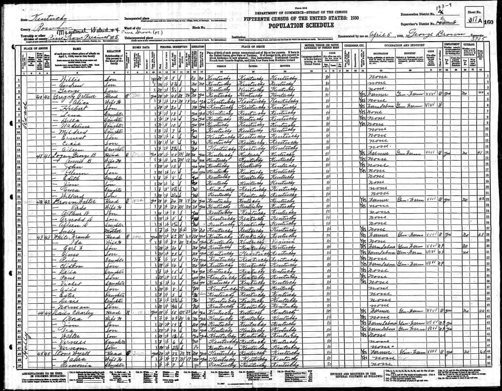 census image
