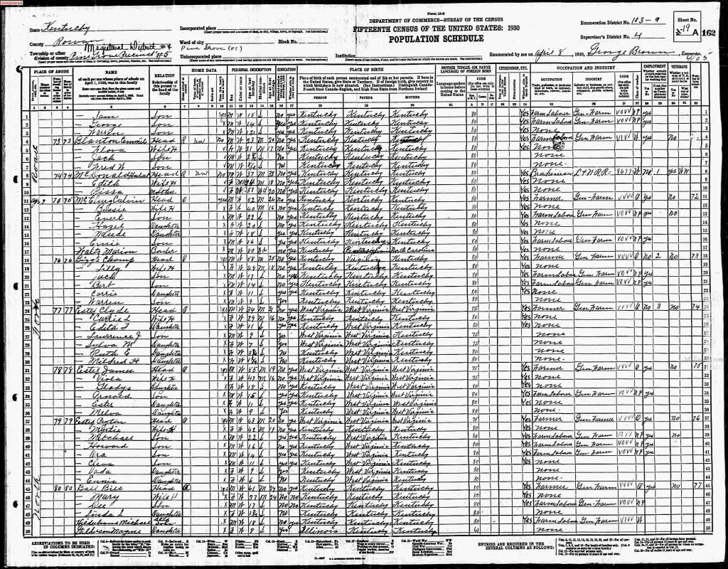 census image