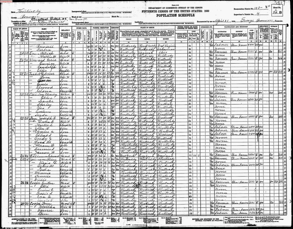 census image