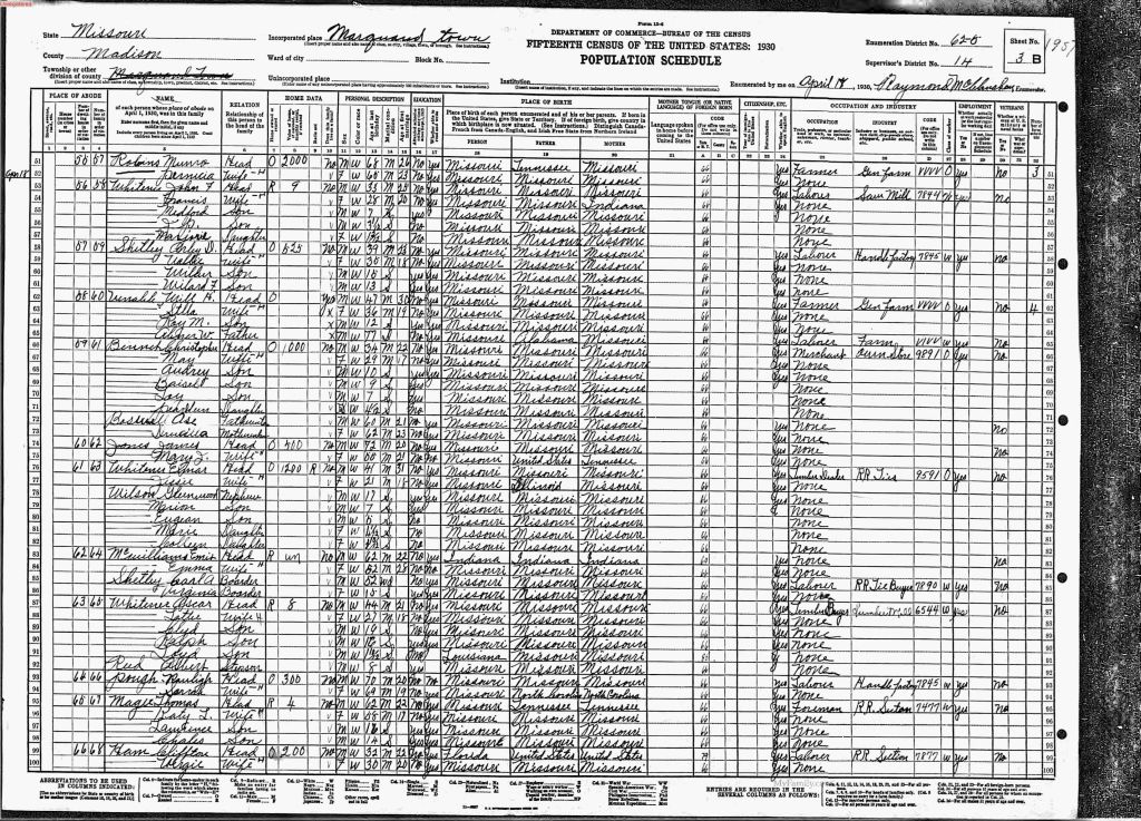 census image