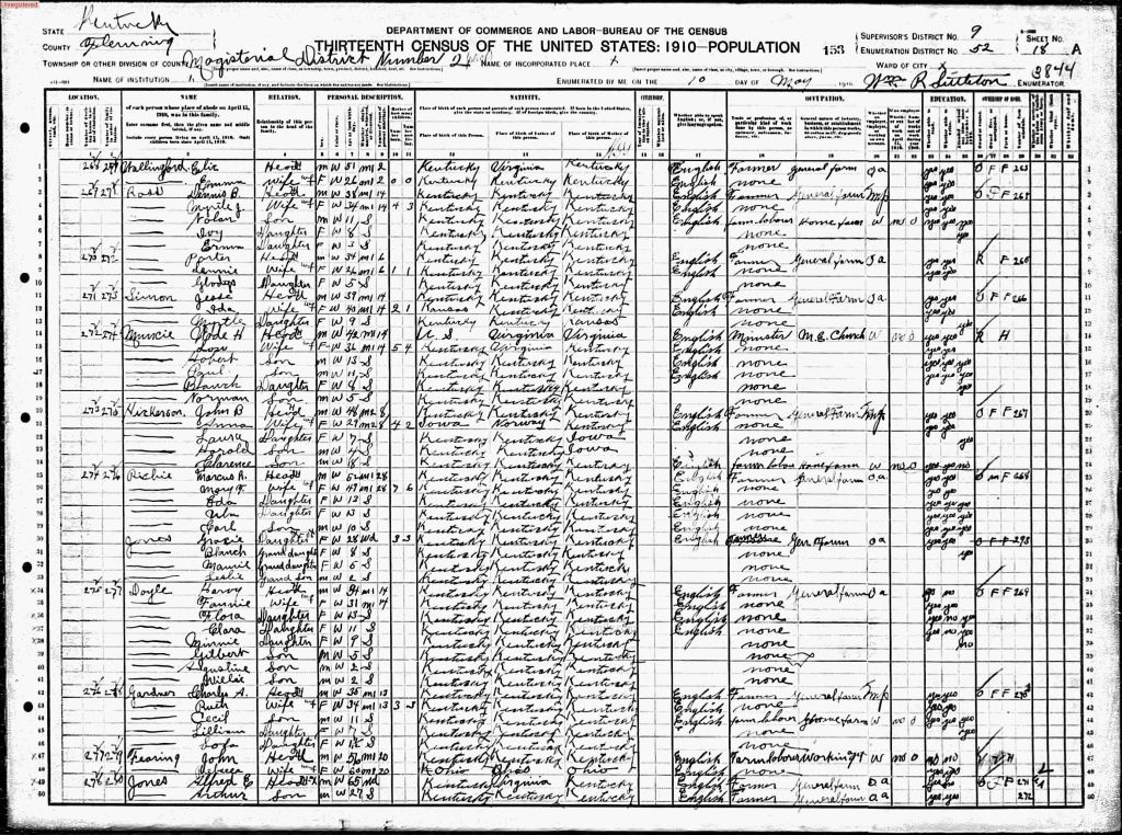 census image