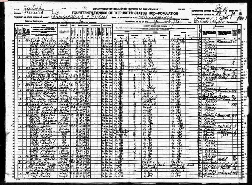 census image