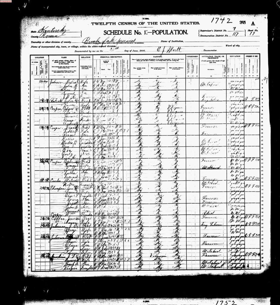 census image