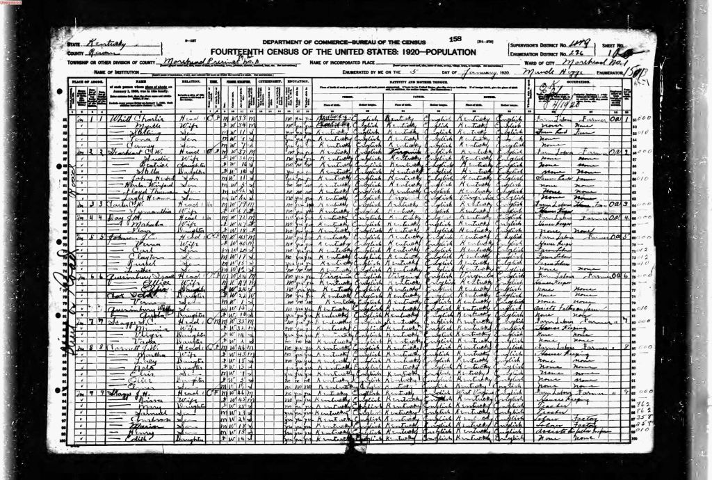 census image