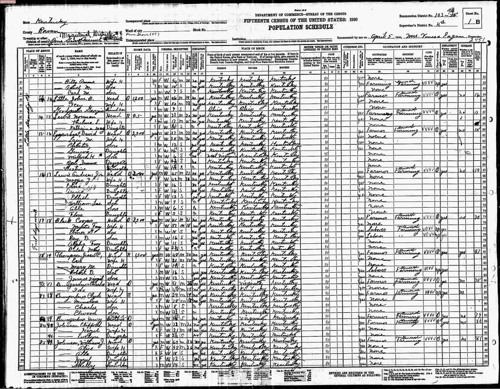 census image