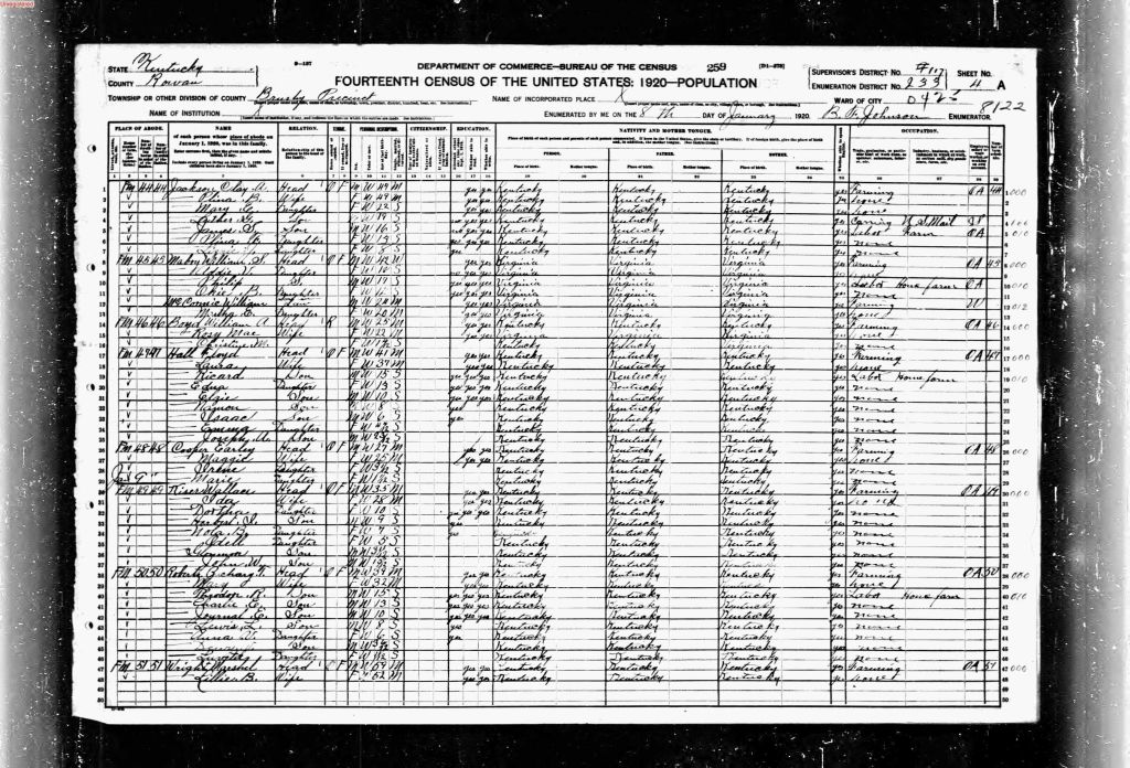 census image