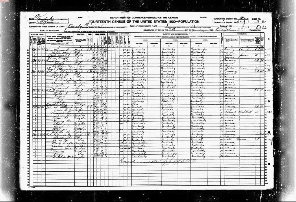 census image