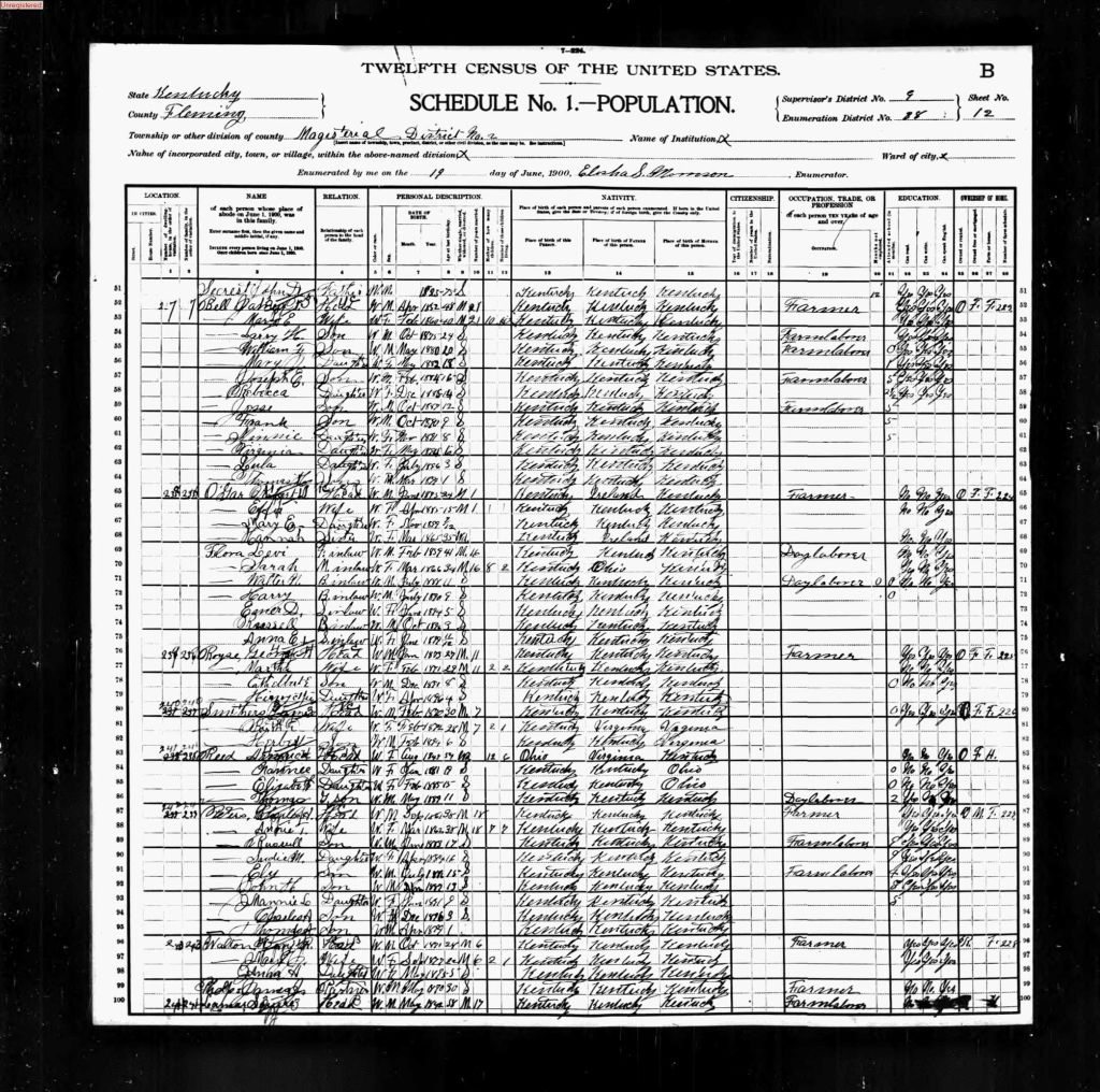 census image