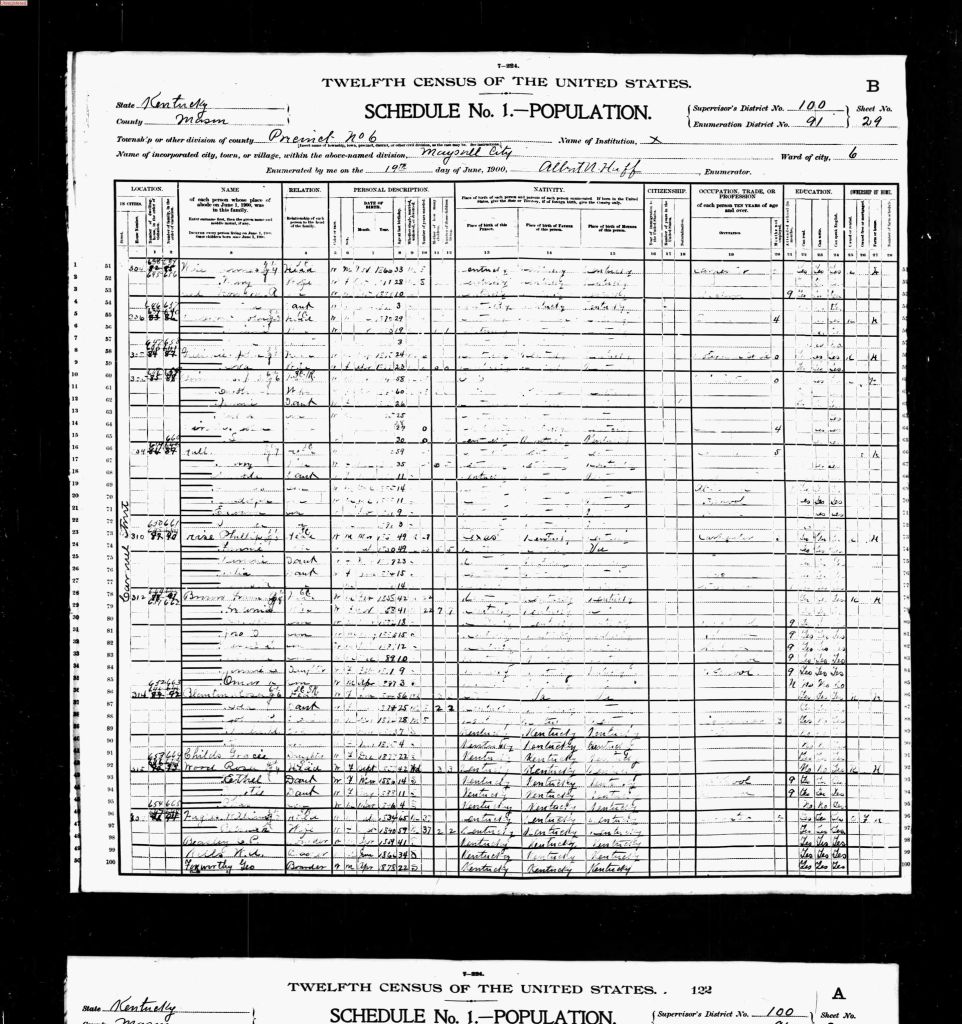 census image