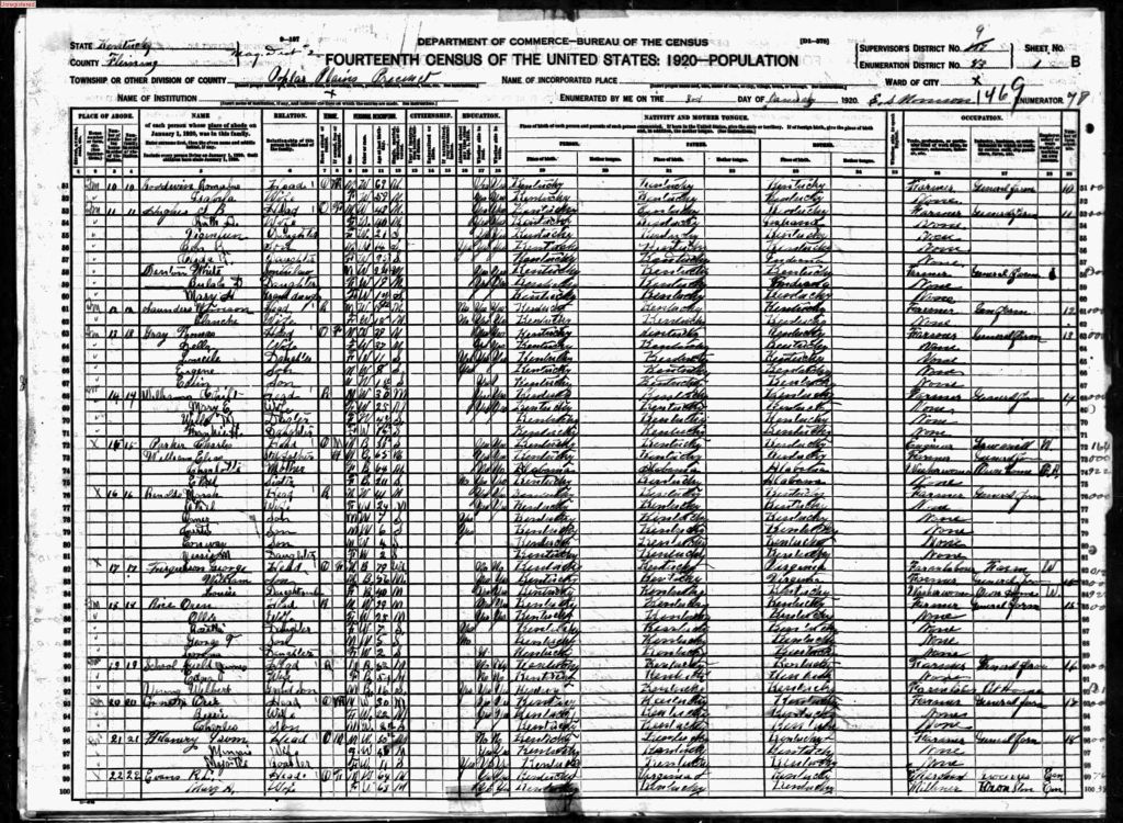 census image