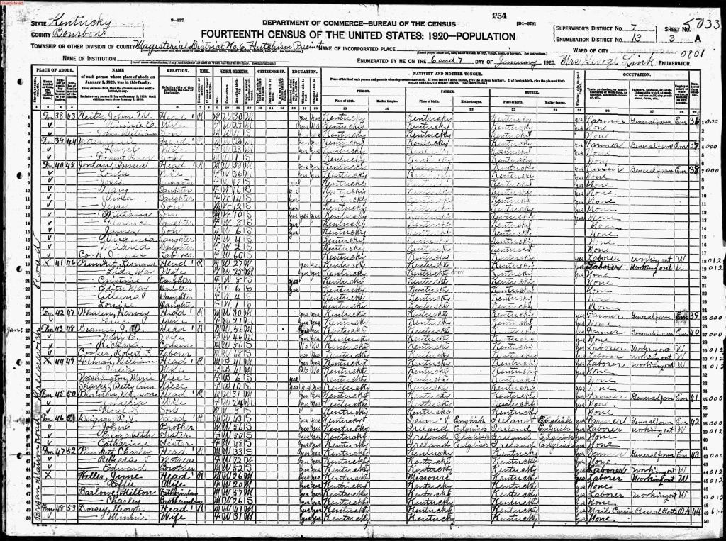 census image
