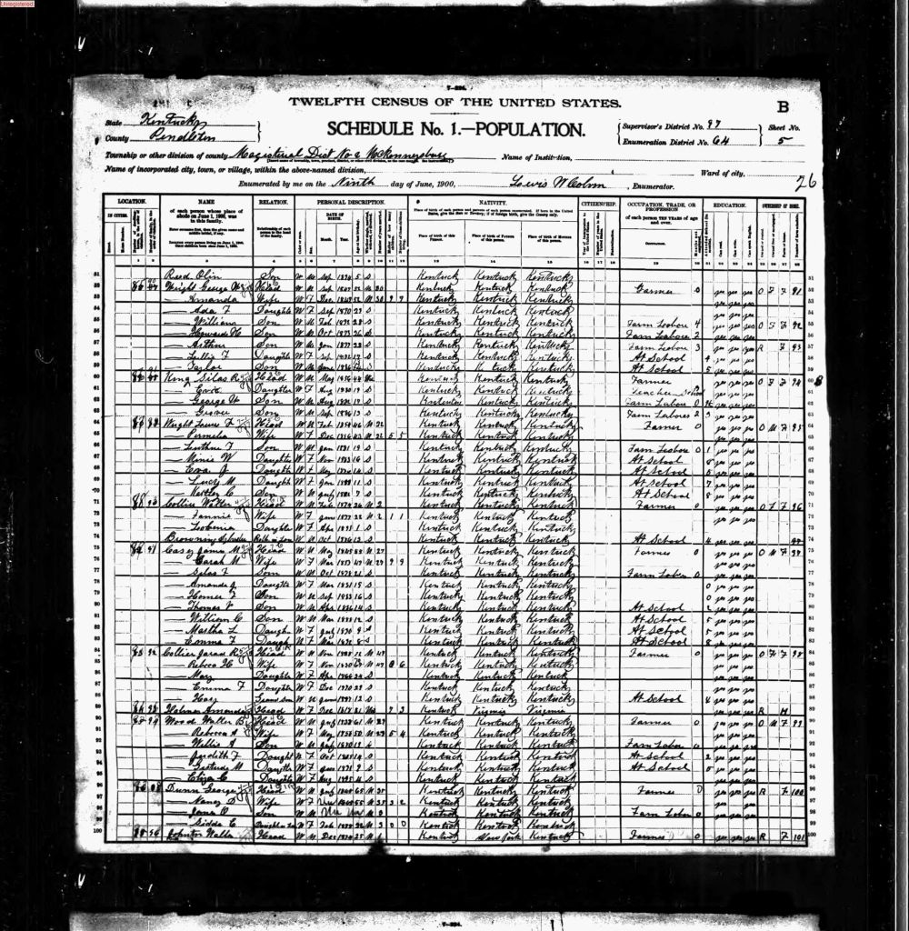 census image