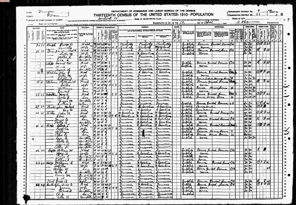 census image