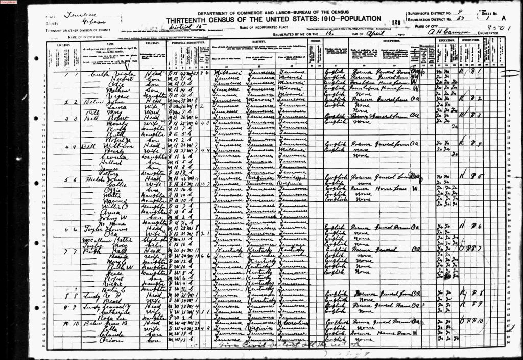 census image