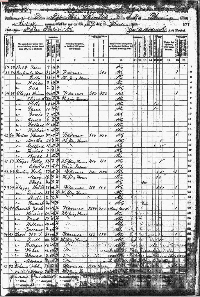 census image