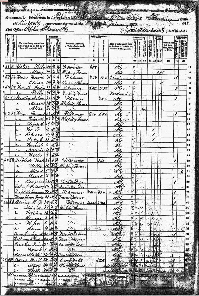 census image