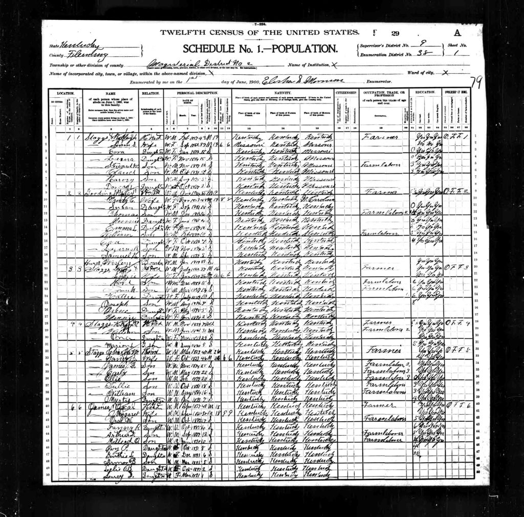 census image