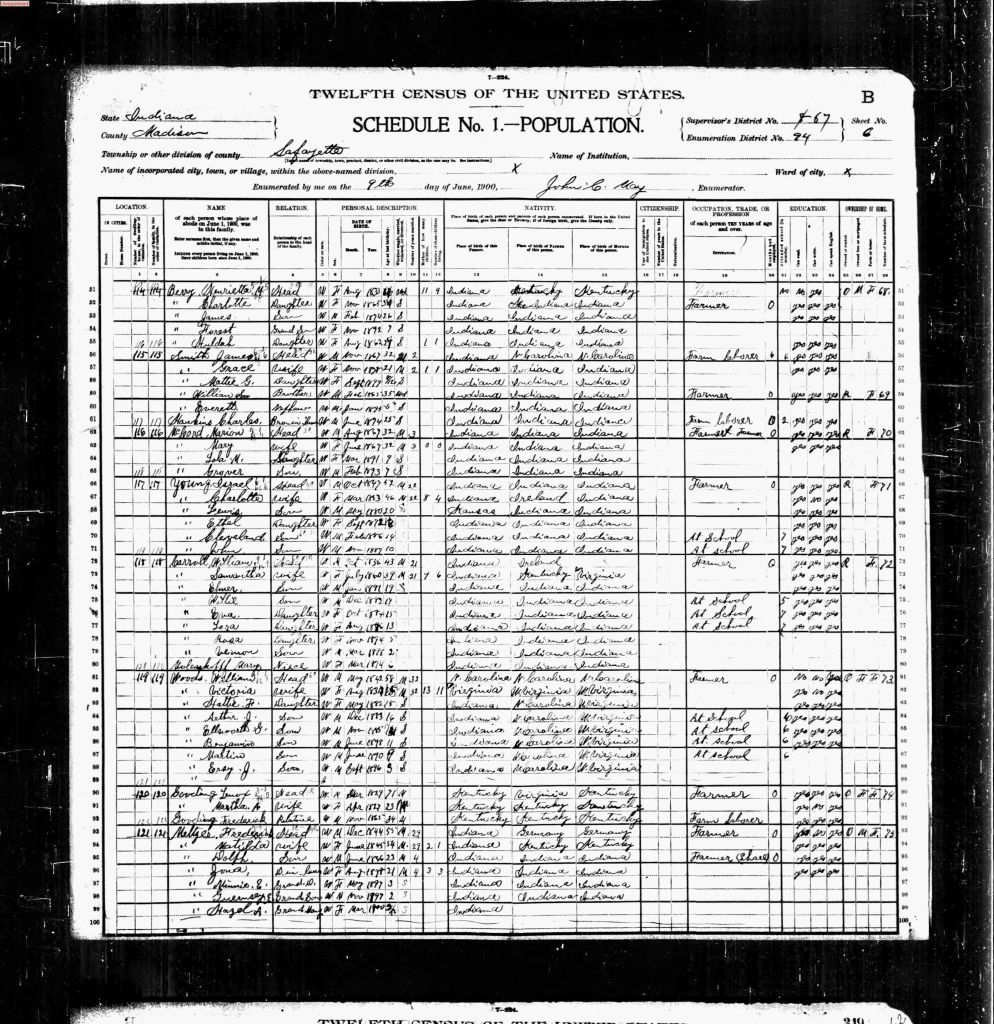 census image