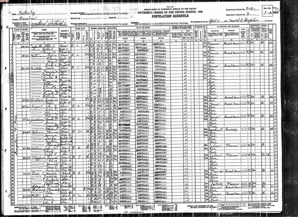 census image