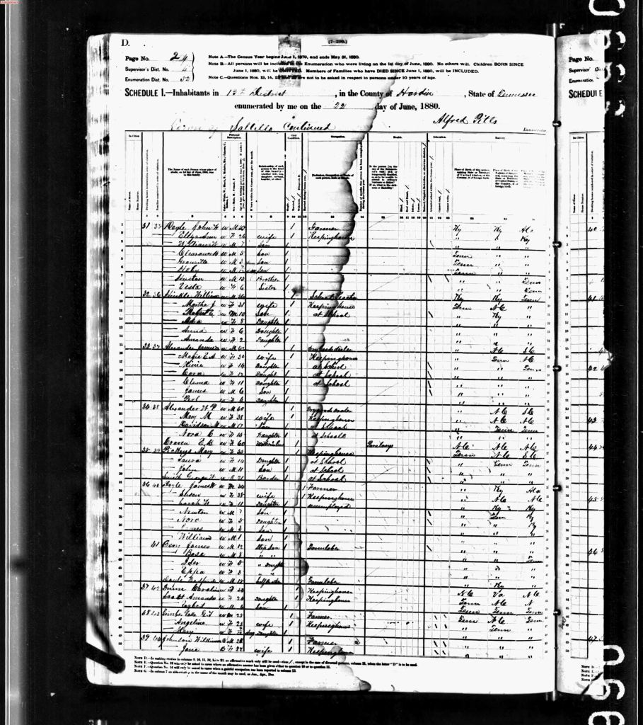 census image