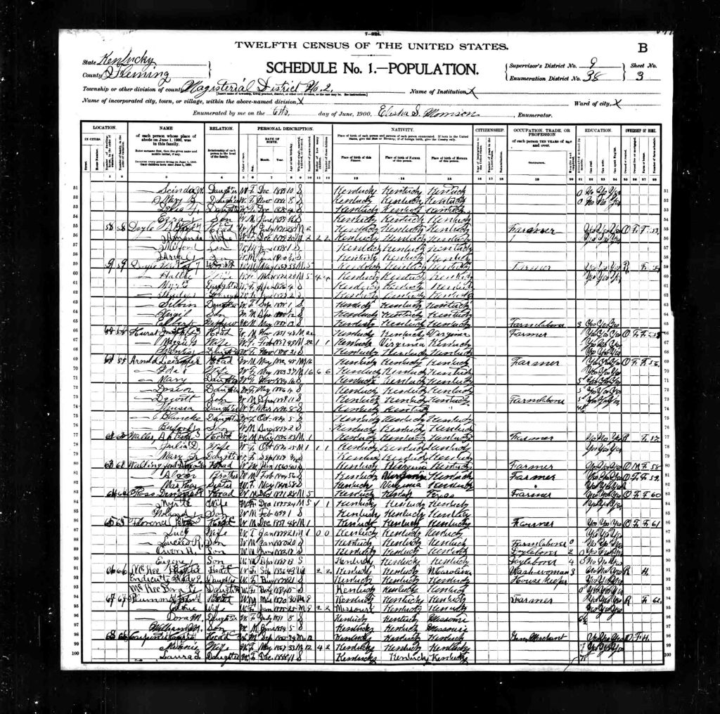 census image