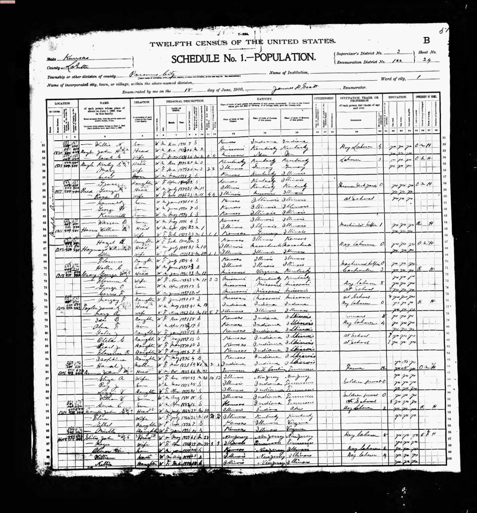 census image
