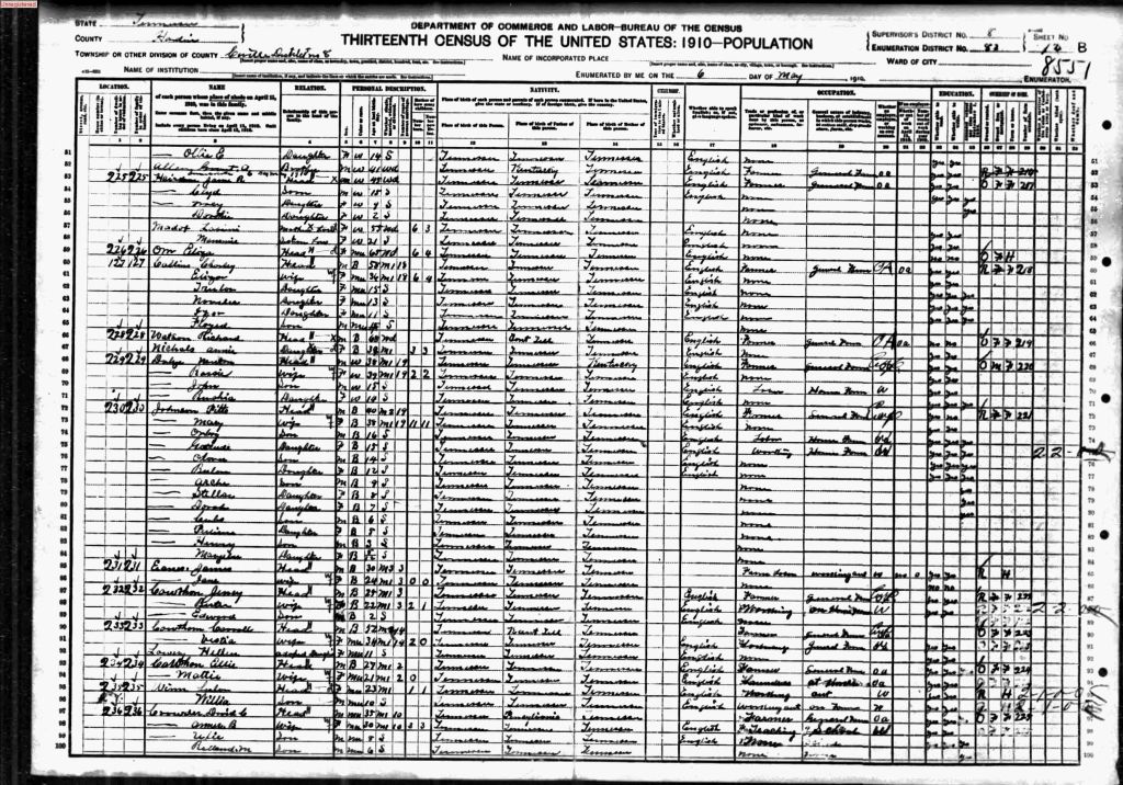 census image