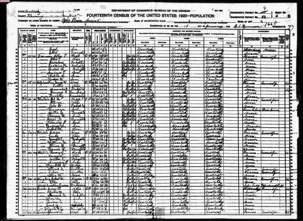 census image