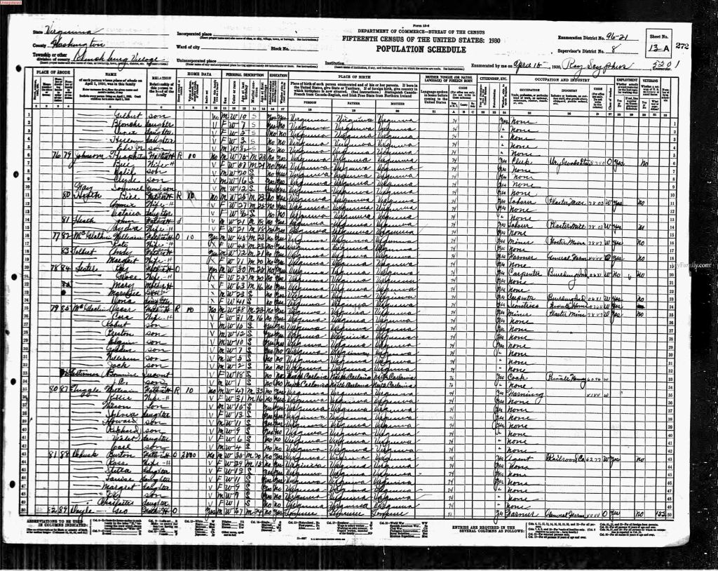 census image
