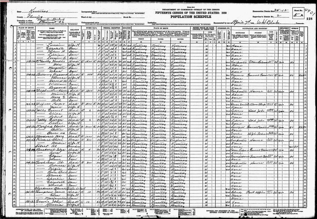census image