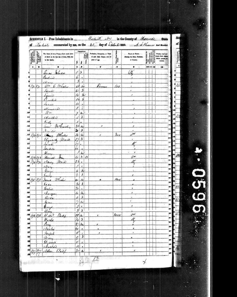 census image