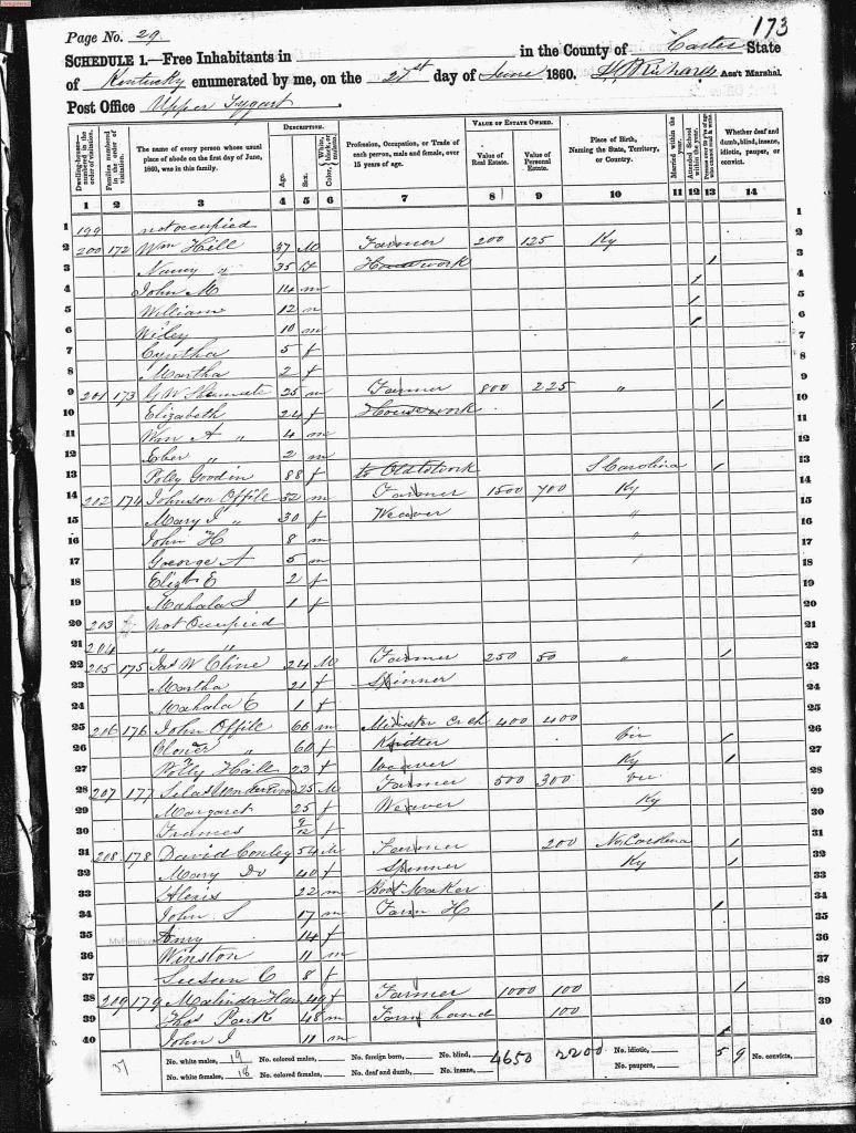 census image