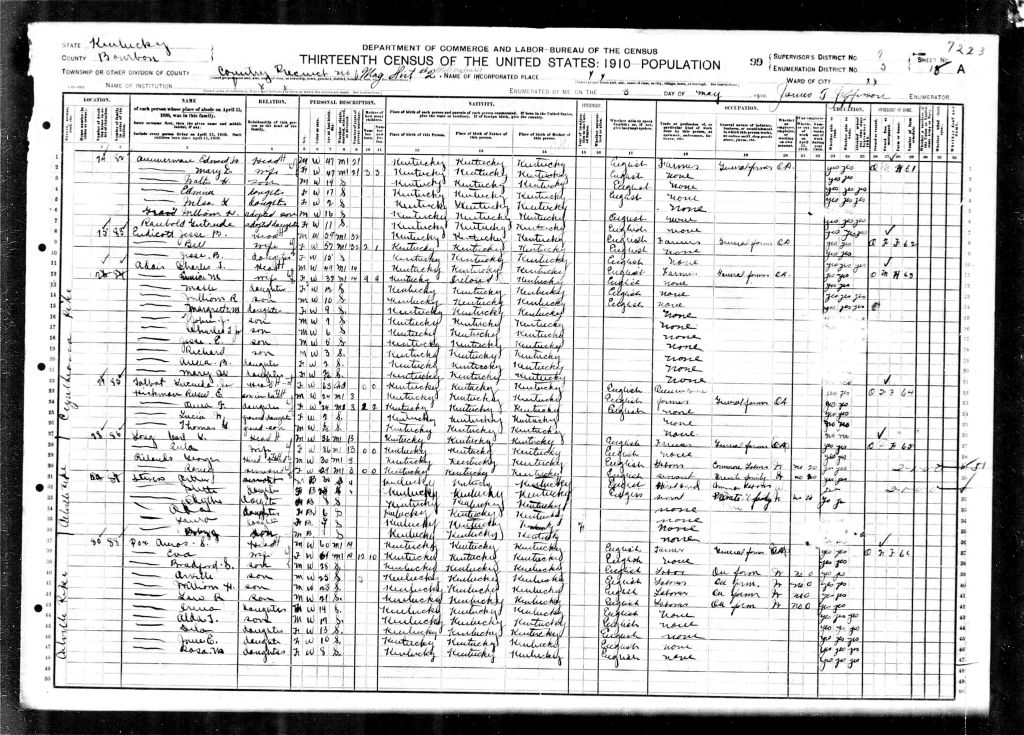 census image