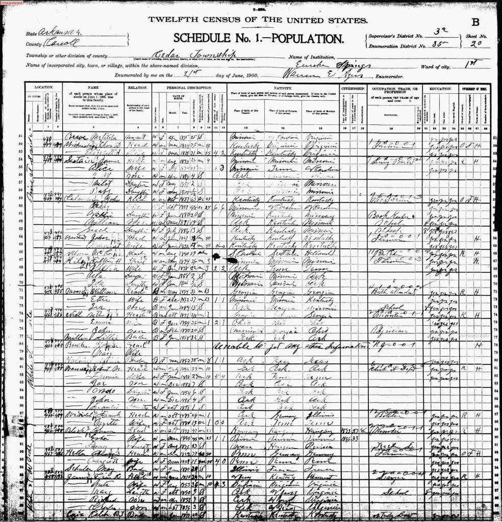 census image