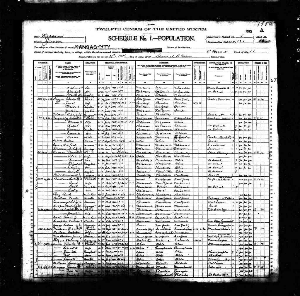 census image