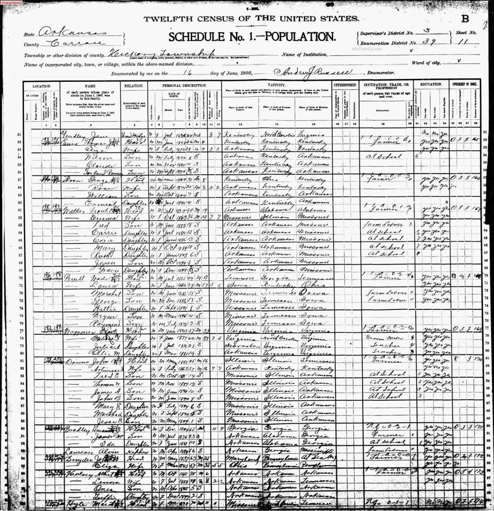 census image