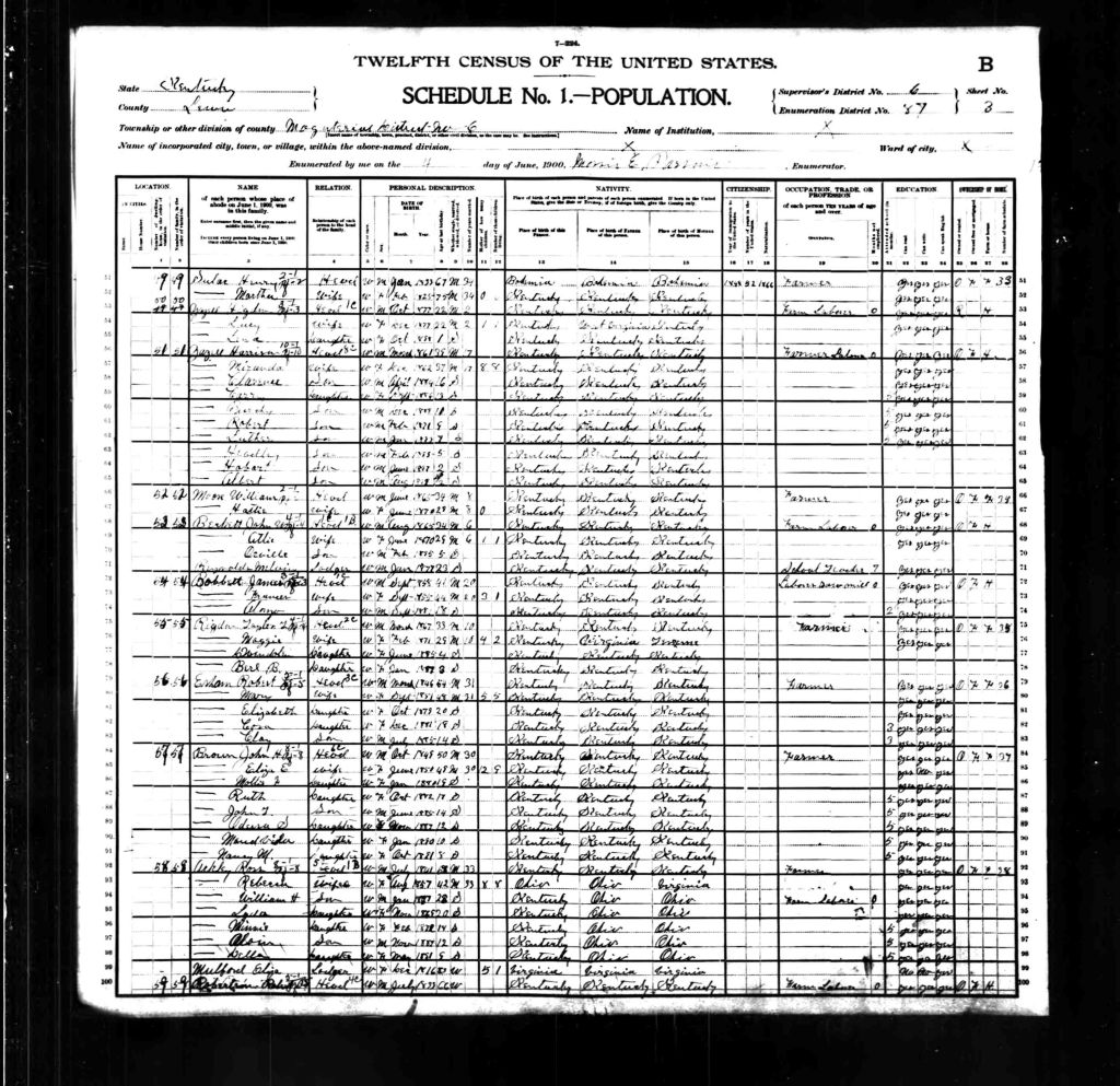 census image