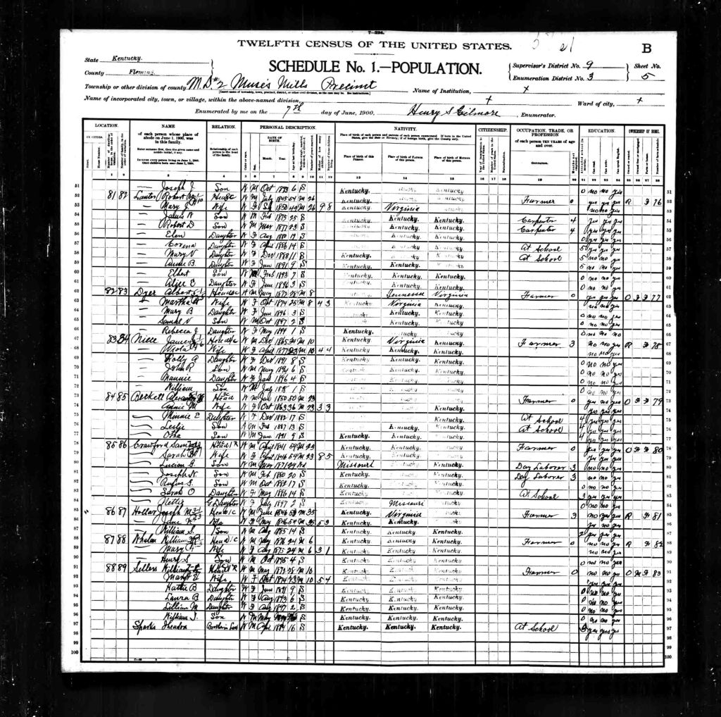 census image