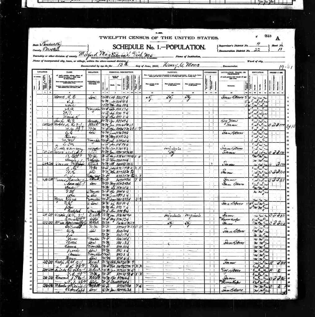 census image