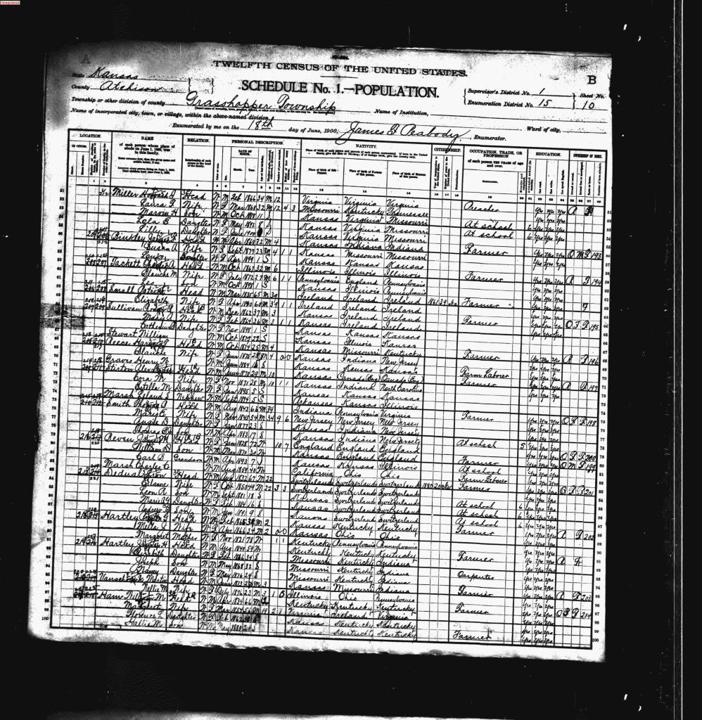 census image