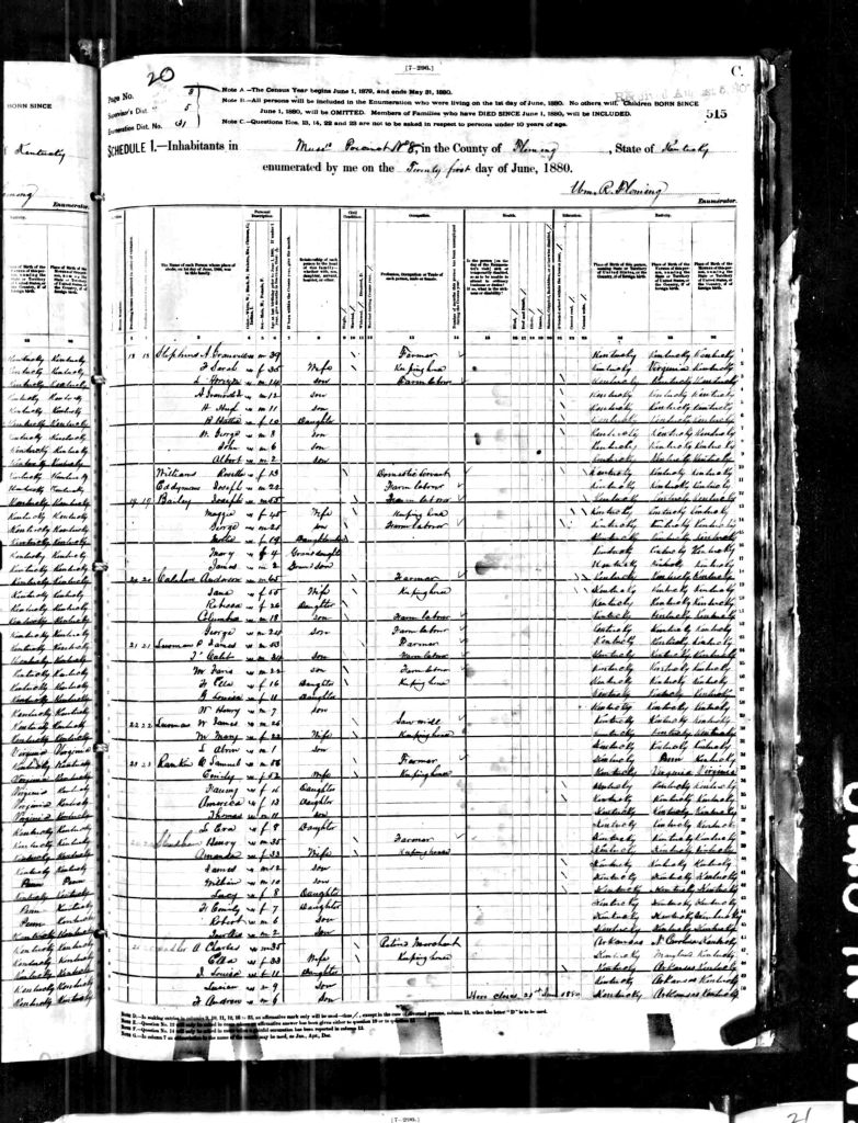 census image