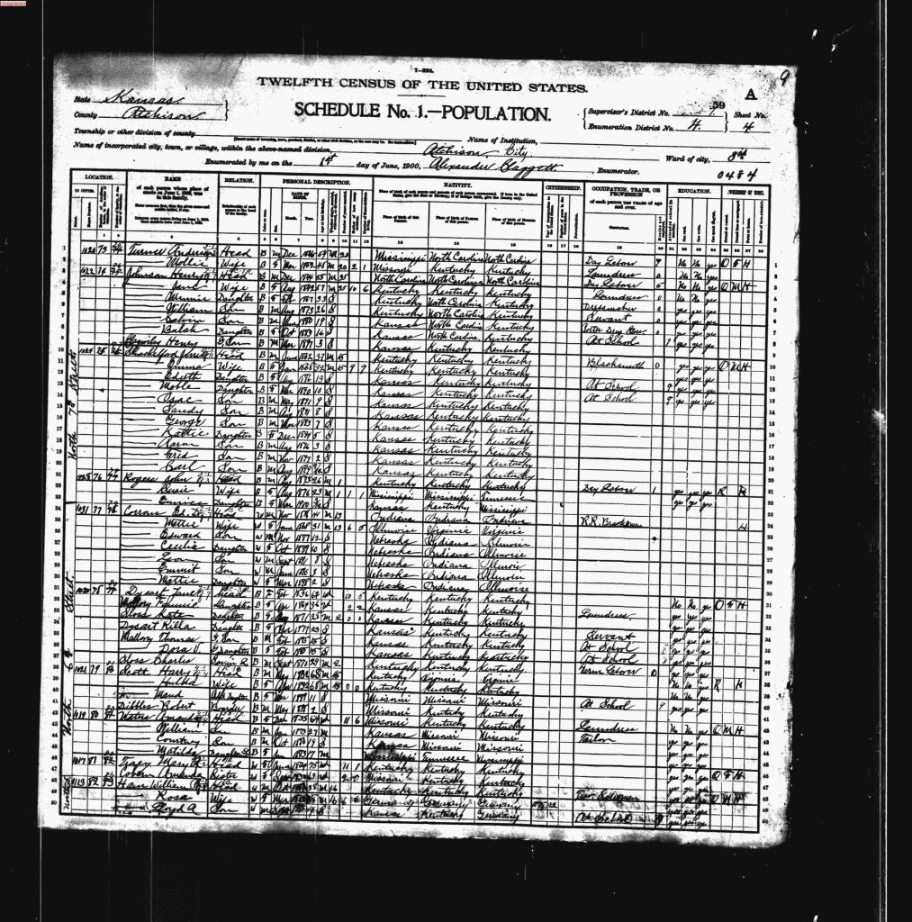 census image