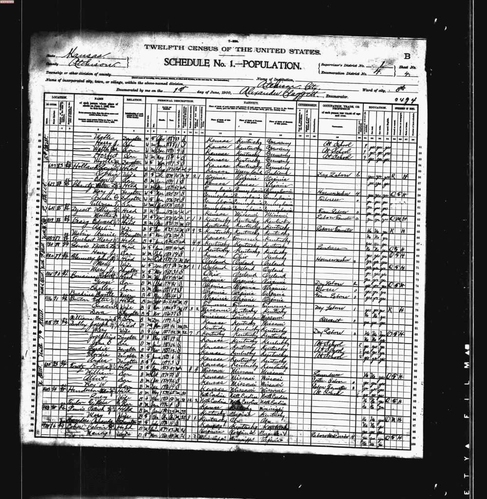 census image