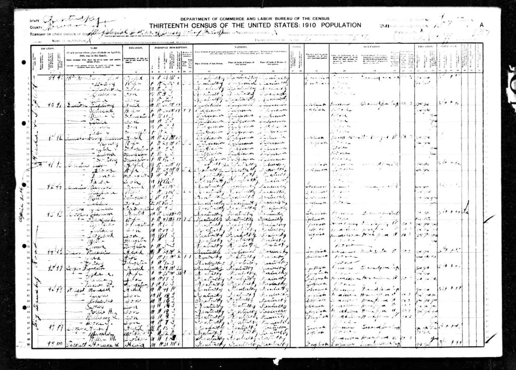 census image