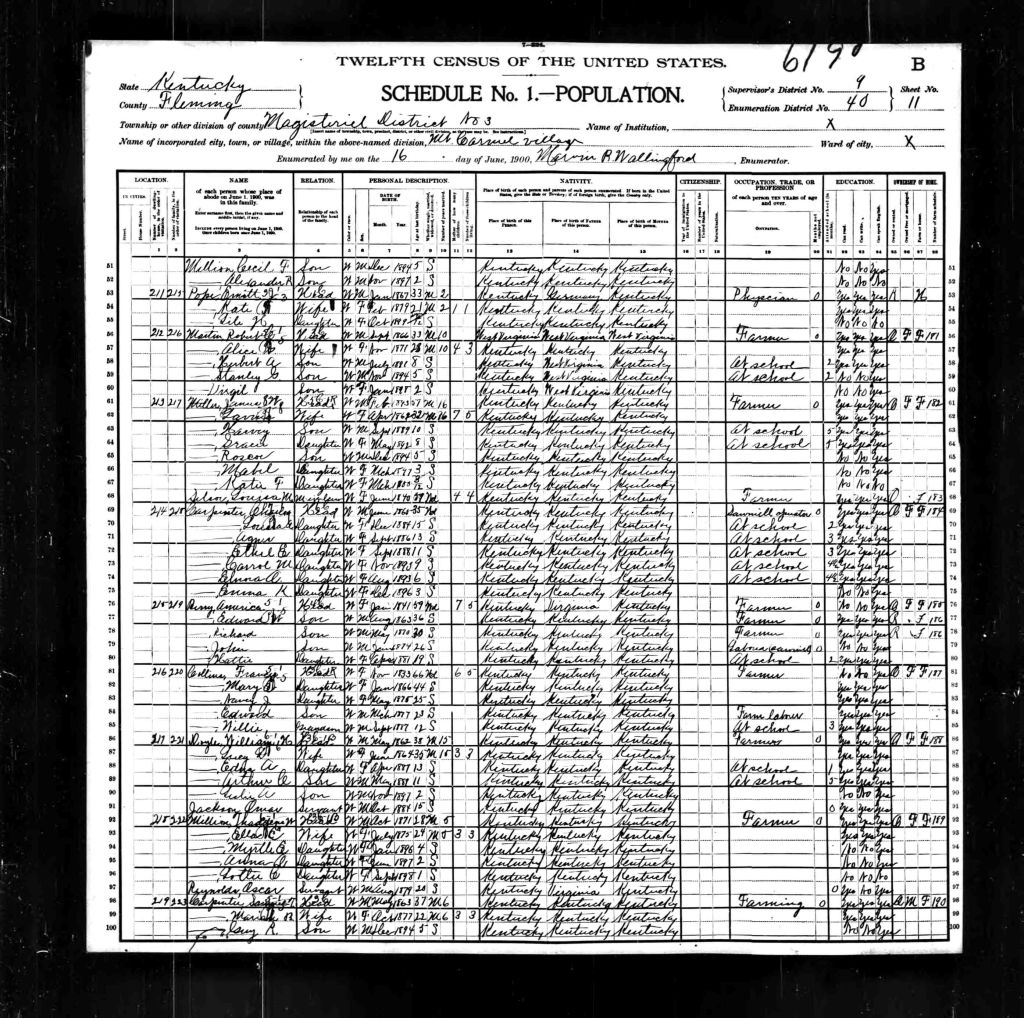 census image