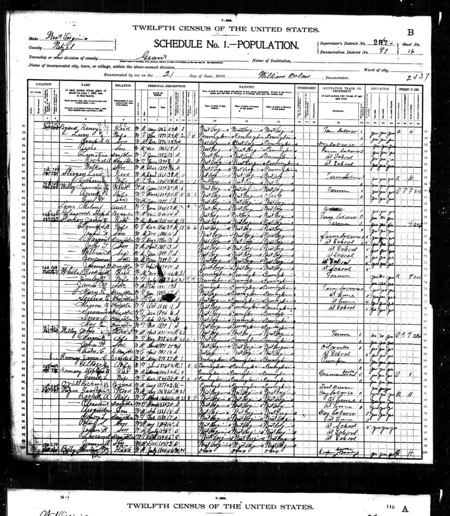 census image