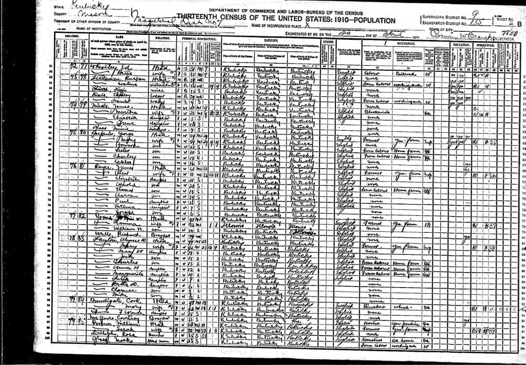 census image